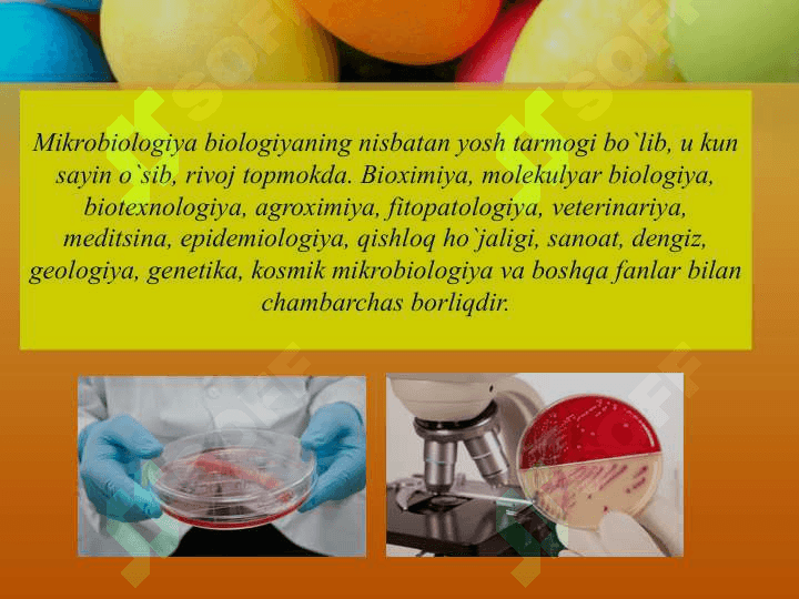 Mikrobli entomopotogen preparatlarning ahamiyati 4