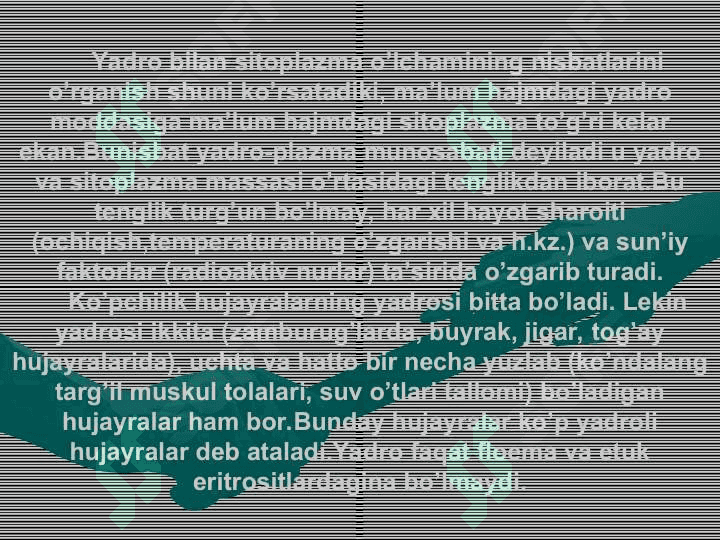 Hujayra yadrosi. YadrochaHujayra yadrosi. Yadrocha 4