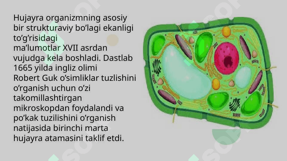 Hujayraviy ta’limotning rivojlanish 2