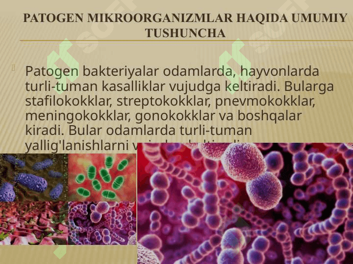 Patogen mikroorganizmlar 3