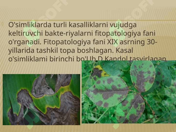 Patogen mikroorganizmlar 5