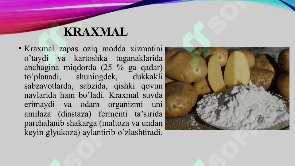 SABZAVOT EKINLARI BIOKIMYOSI 4