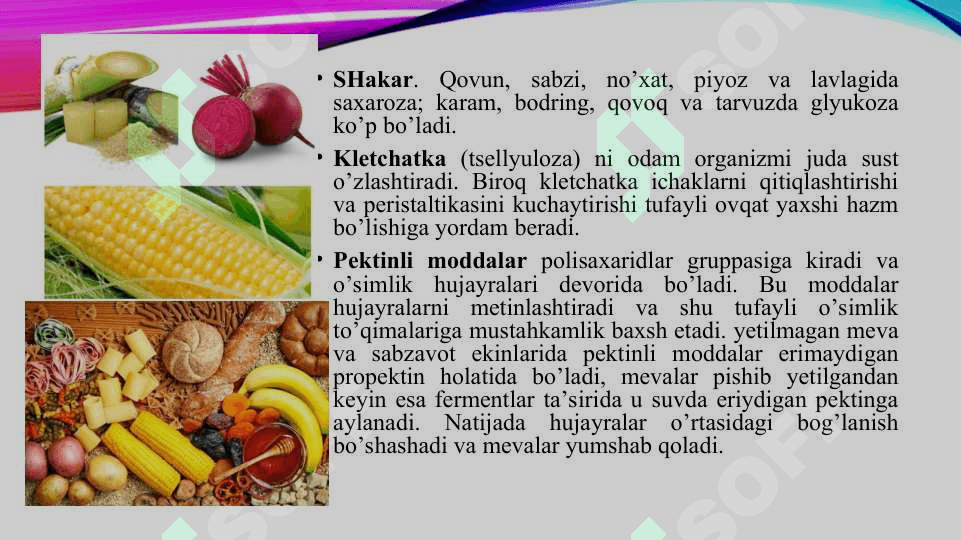 SABZAVOT EKINLARI BIOKIMYOSI 5