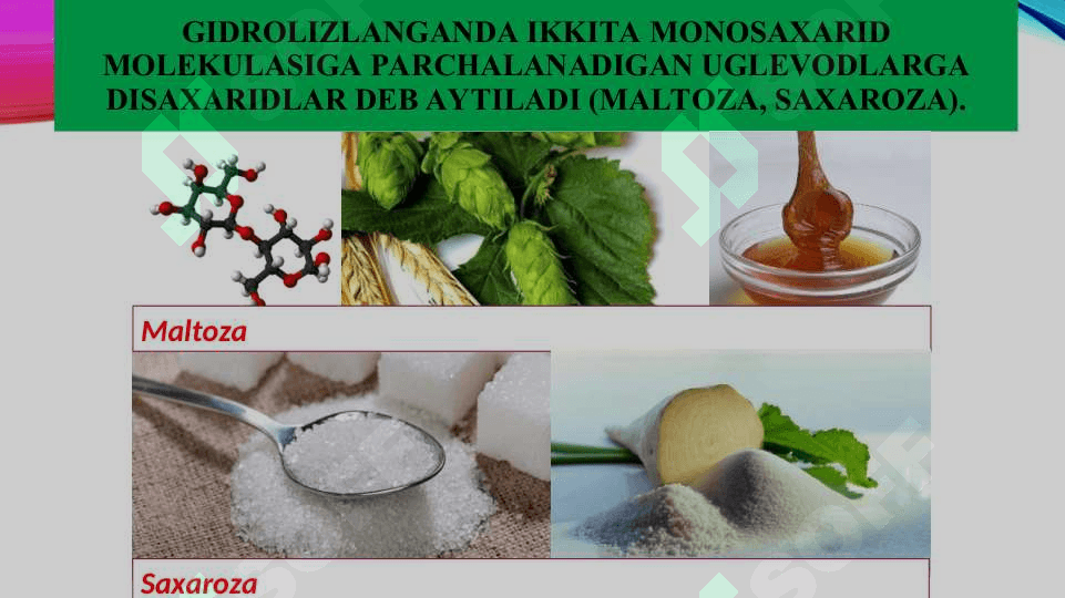 SABZAVOT EKINLARI BIOKIMYOSI 6