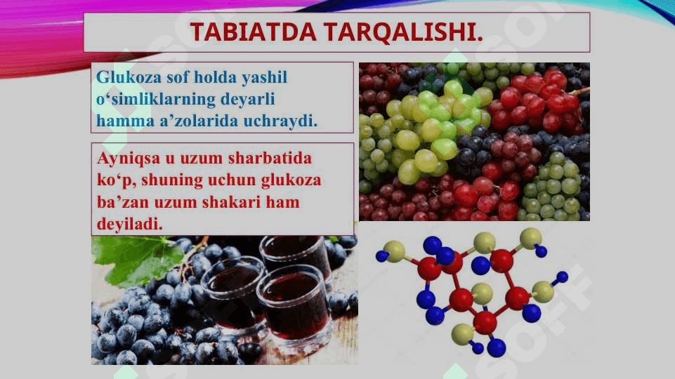 SABZAVOT EKINLARI BIOKIMYOSI 7