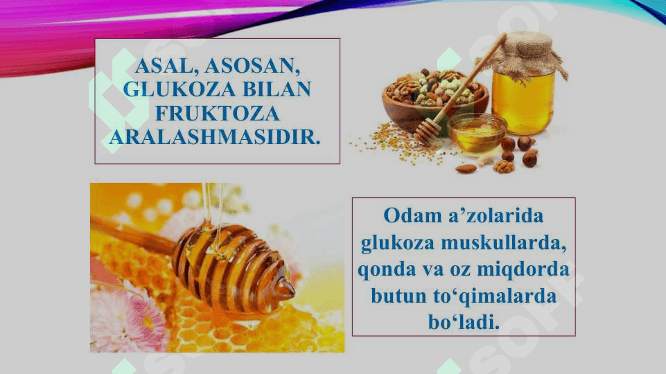 SABZAVOT EKINLARI BIOKIMYOSI 8