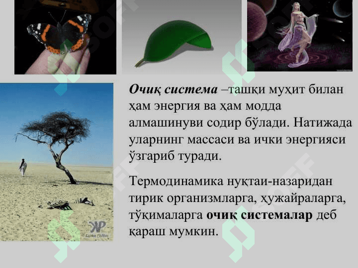 Биологик системалар термодинамикаси 7