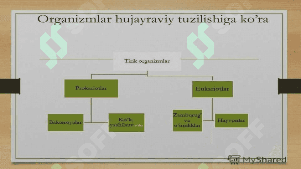 Tirik organizmlarning kimyoviy asoslari 3