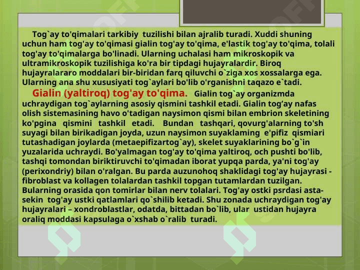 Tog’ay va suyak to’qimasi 8