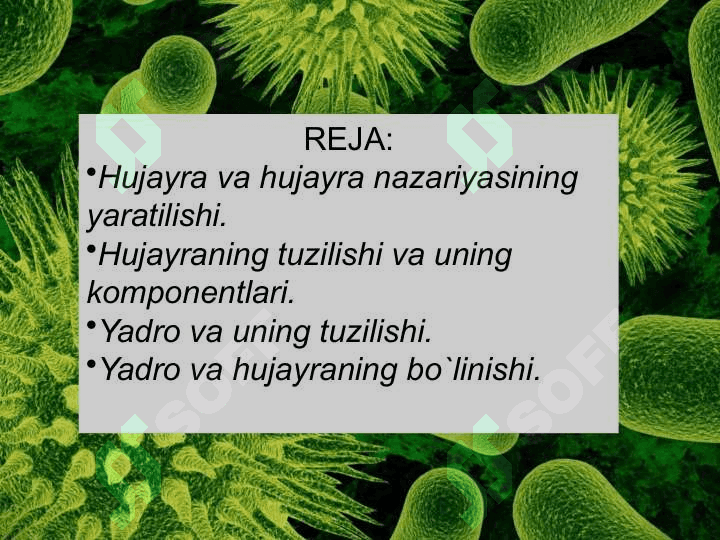 Xujayra 2