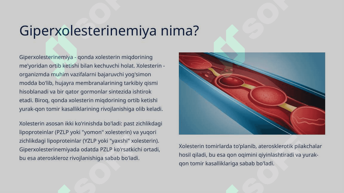 Giperxolesterinemiya Sabablari, Asoratlari va Davolash Usullari 3