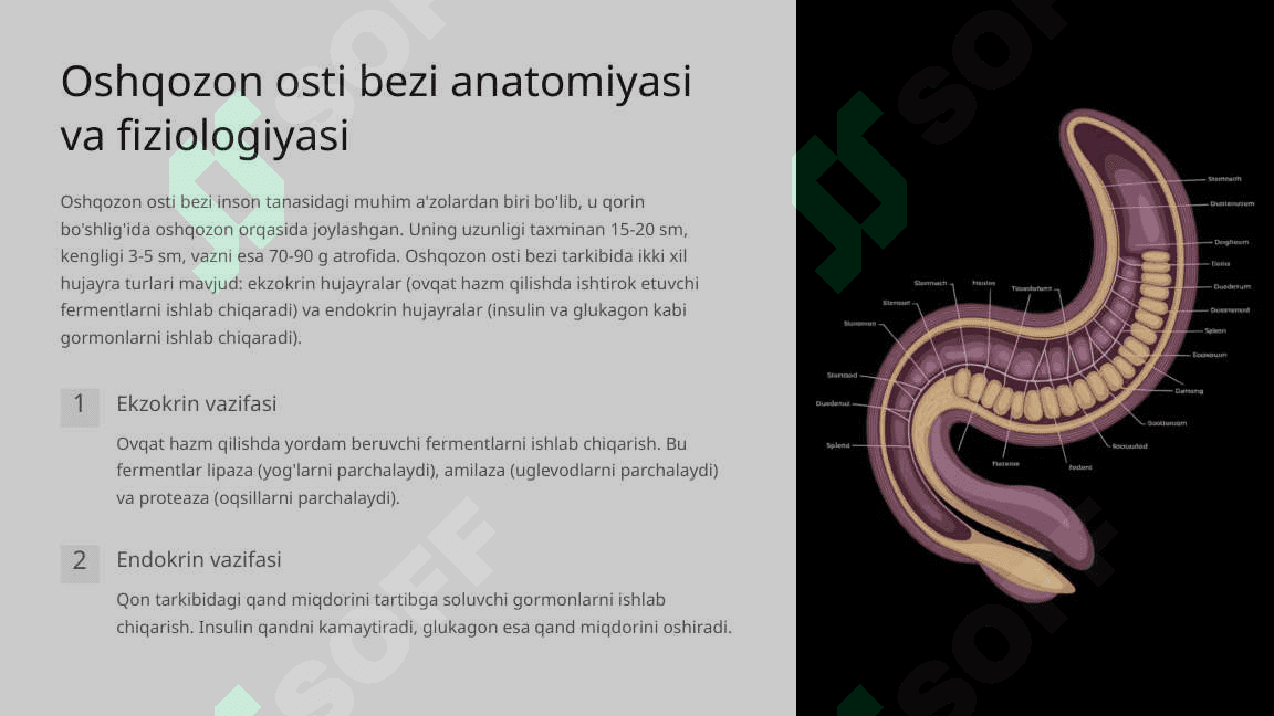 Pankreatit kasalligi 4