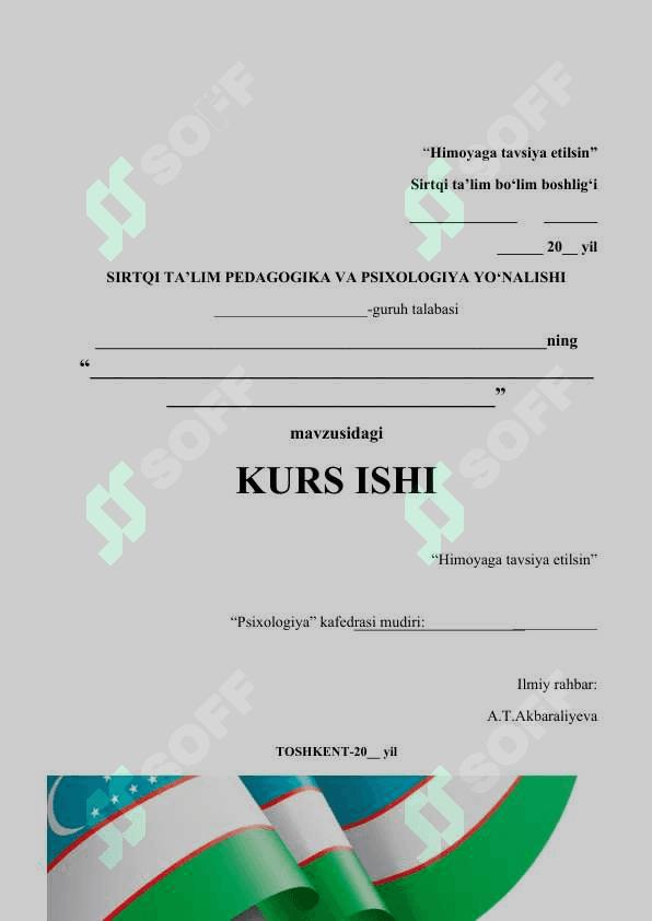 mustaqil ish yuzi 3