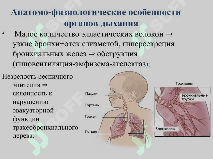 БРОНХИАЛ АСТМА  ЭТИОПАТОГЭНЕЗ  КЛИНИКА И ЛЕЧЕНИЕ 3