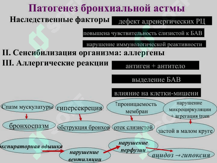 БРОНХИАЛ АСТМА  ЭТИОПАТОГЭНЕЗ  КЛИНИКА И ЛЕЧЕНИЕ 5