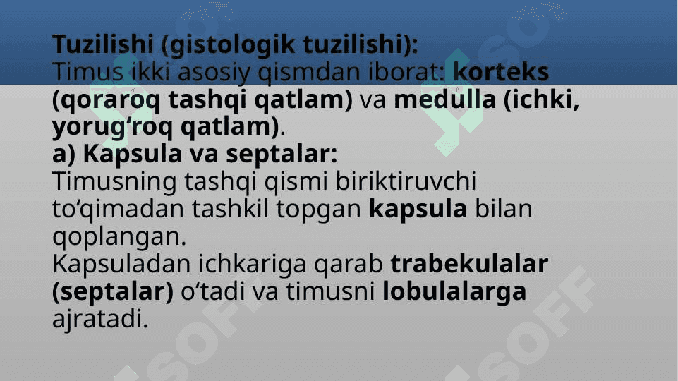 Timus tuzilishi, taraqqiyoti va vazifasi 7