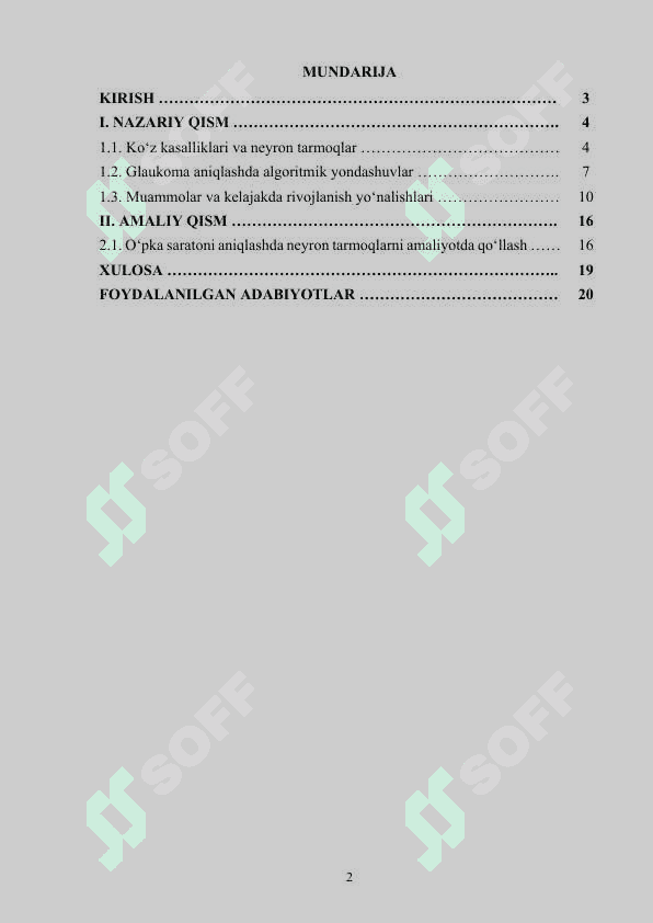 Sun’iy intellekt usullari yordamida ko‘z kasalliklarini aniqlash dasturini ishlab chiqish 2