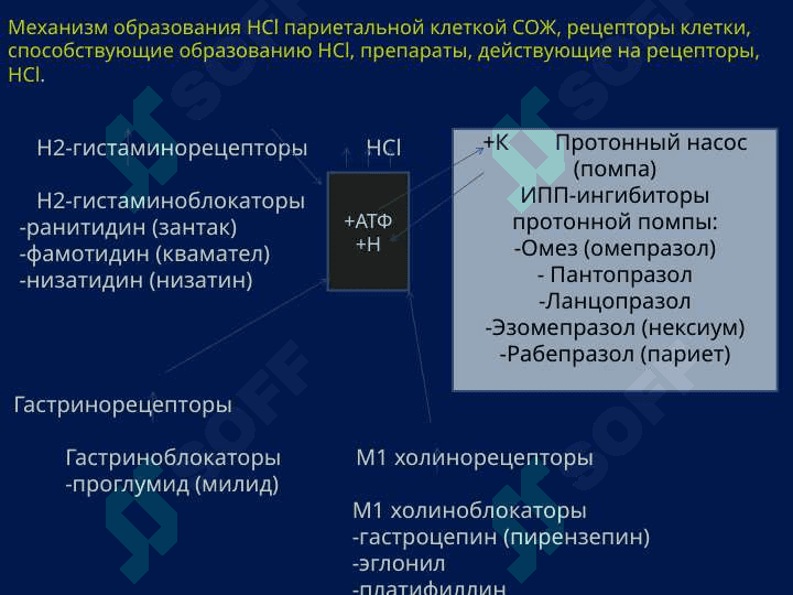 Хронический гастрит у детей 8
