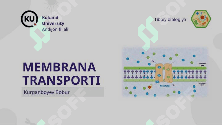 Hujayra membranasi 6