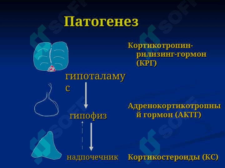 «Синдром Иценко-Кушинга». 6