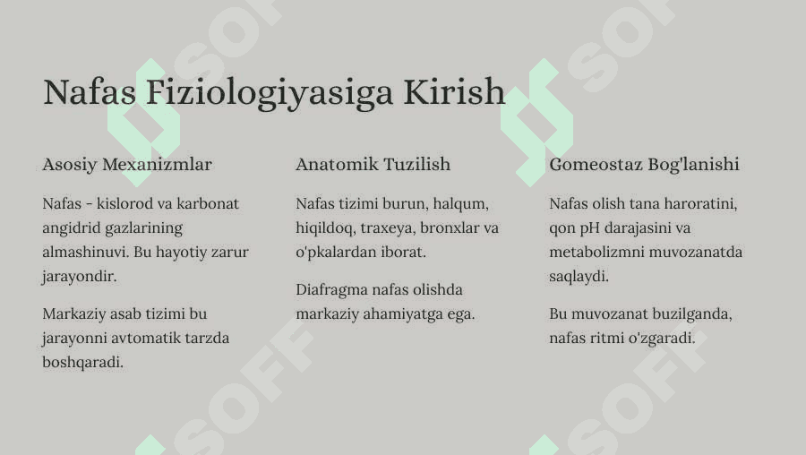 Nafas tiplari. Nafasning o‘z-o‘zini boshqarishi 2