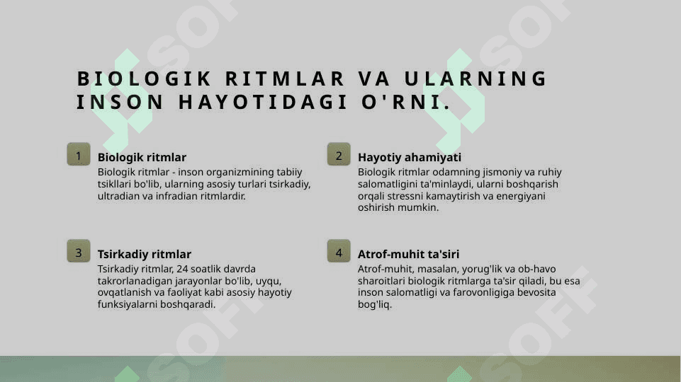 Hayot va sog'liq ritmlari 4