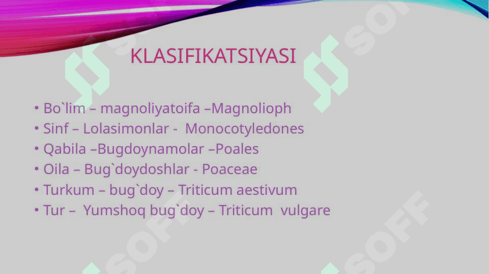 Bug`doydoshlar          (boshoqdoshlar)       poaceae  (graminiae)                  oilasi 3