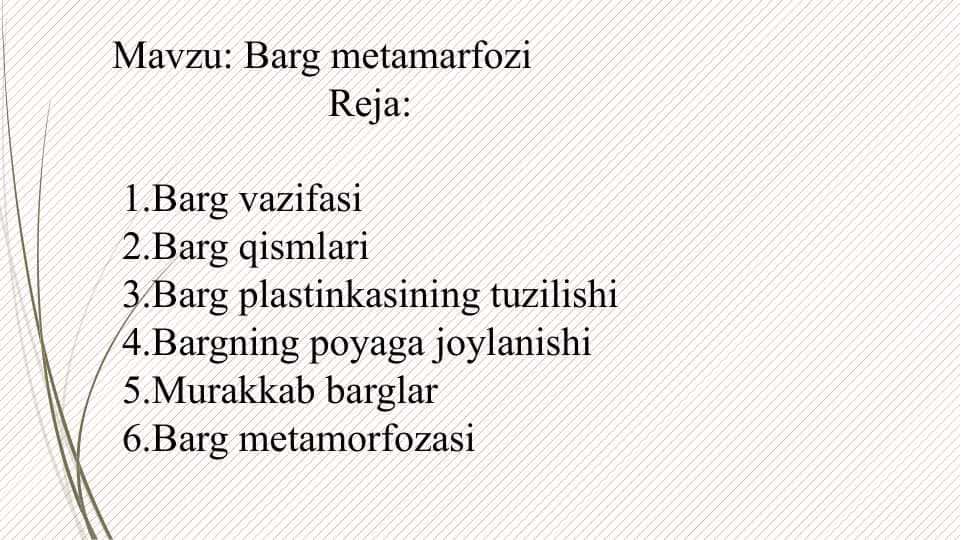 Barg metamarfozi