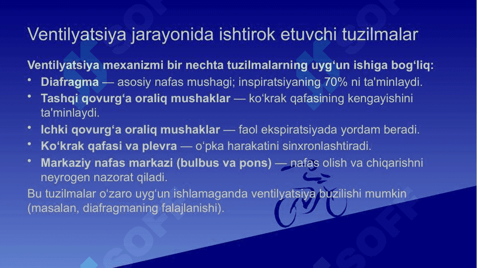 O’pka ventelatsiyasi . Insonda auskultatsiya 3