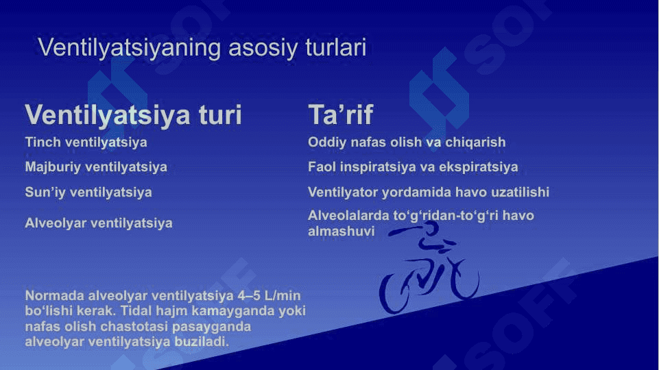 O’pka ventelatsiyasi . Insonda auskultatsiya 4