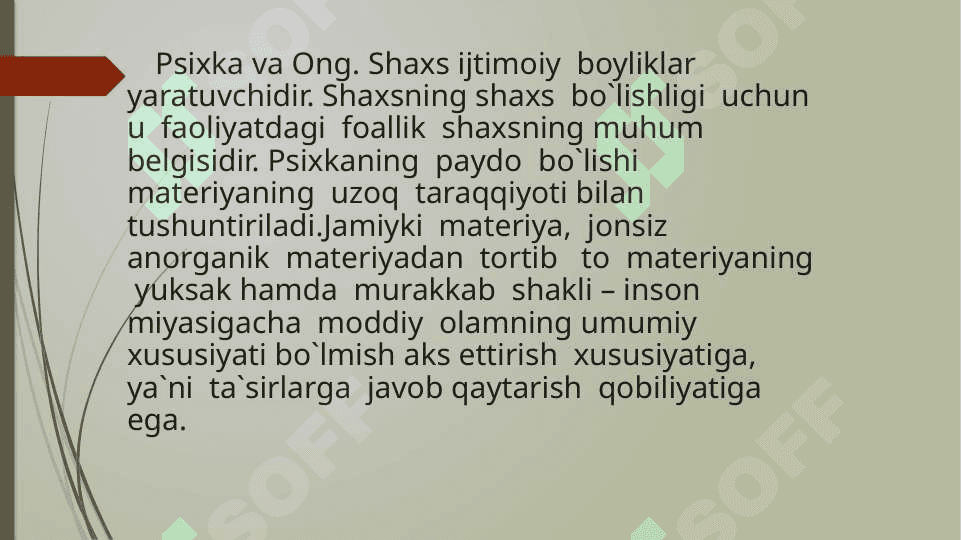 Psixka va Ong 2