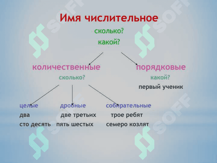 Числительное как часть речи 4