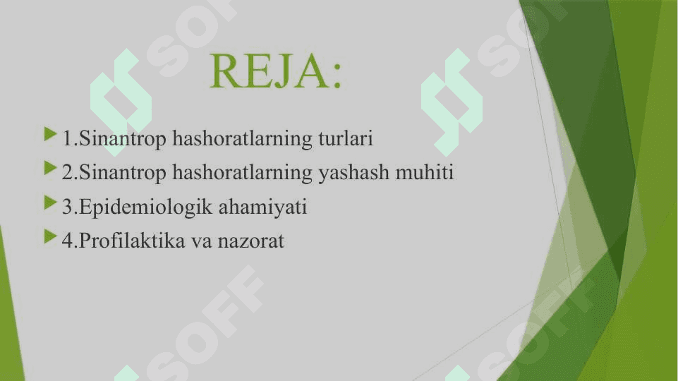 Sinantrop hashoratlarning epidemiologik ahamiyati 3