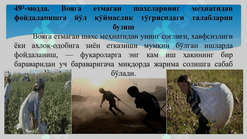 Меҳнат ва иш ҳақи ҳисоби 6