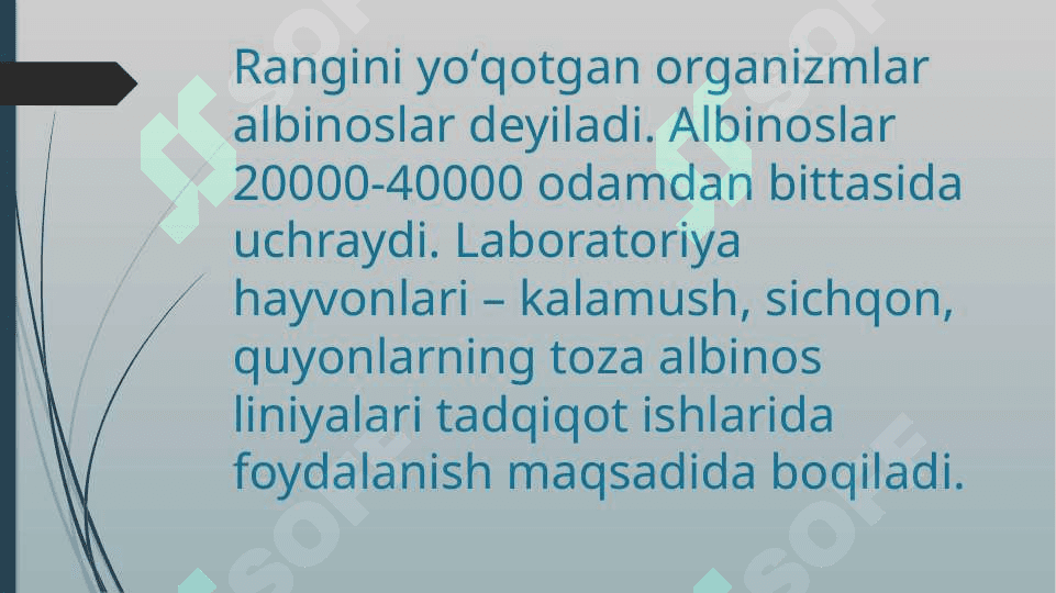 Albinizm kasalligi 4