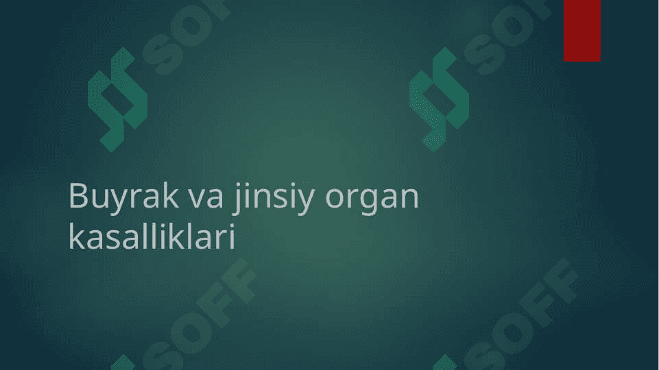 Buyrak va jinsiy organ kasalliklari 2