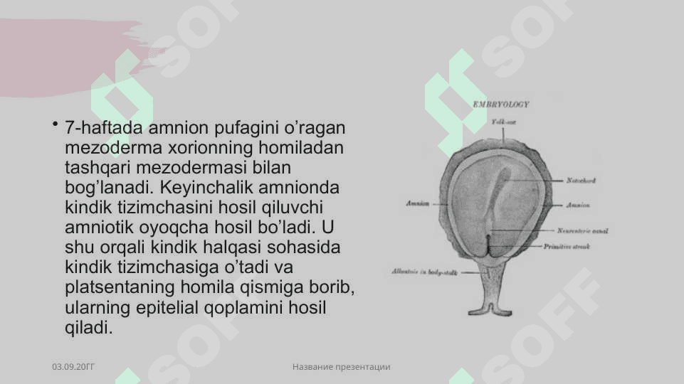 Ayollar jinsiy sistemasi 5