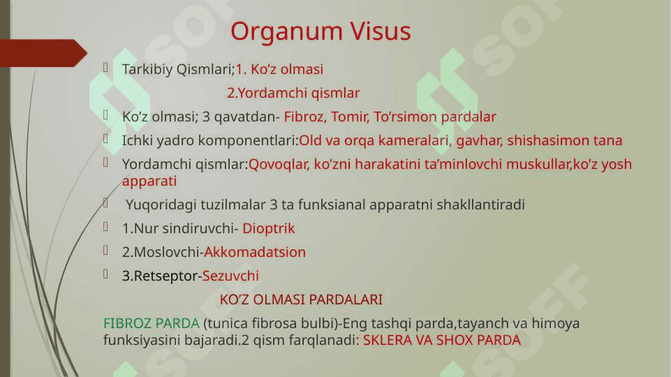Sezgi a’zolari.Ko’rish a’zosi.(Organum visus) 2