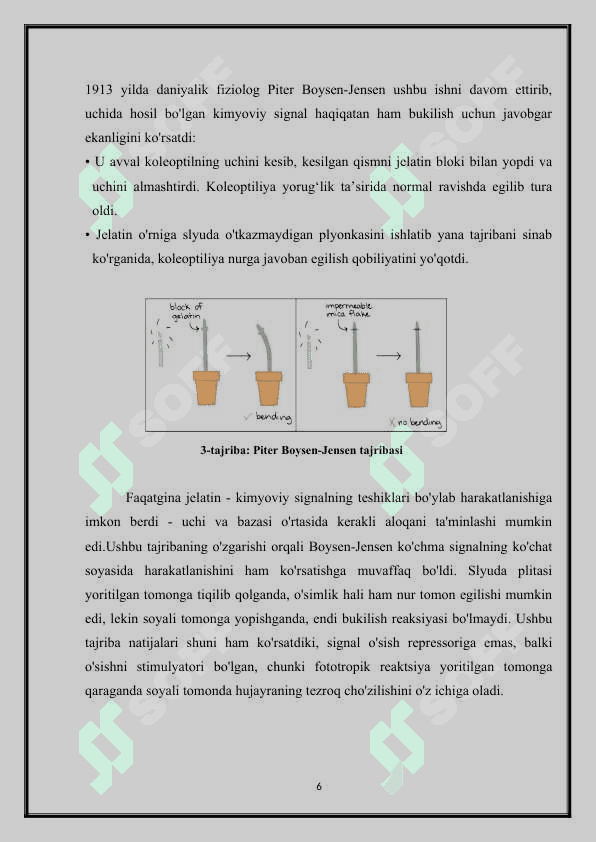 : Fotoperiodizm, uning o’simliklar hayotidagi ahamiyati 6