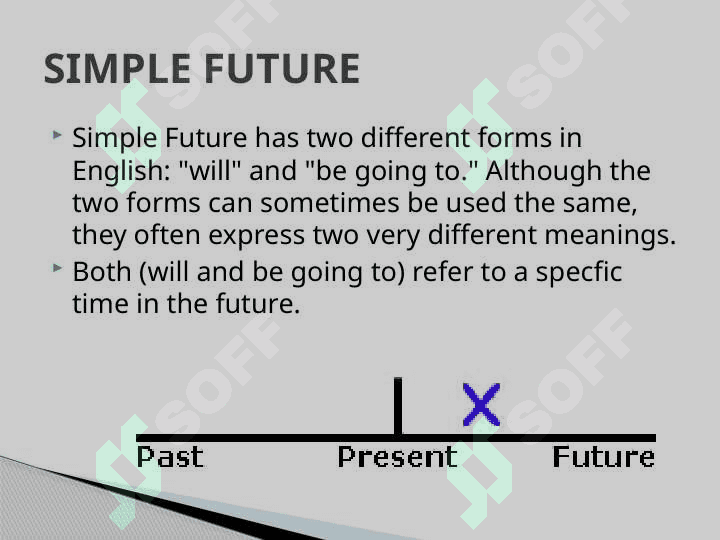 SIMPLE FUTURE AND FUTURE PROGRESSIVE 2