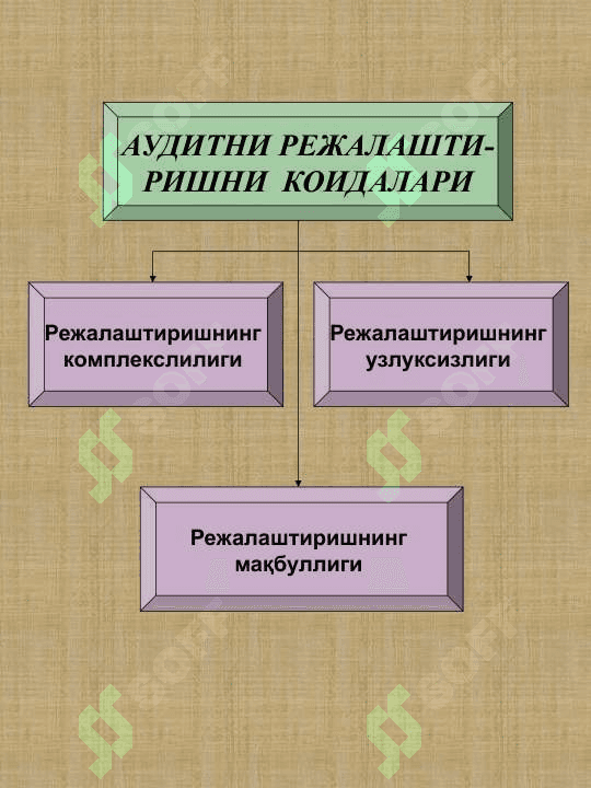 АУДИТОРЛИК 3