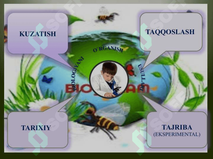 “BIOLOGIYANI O`RGANISH USULLARI 2