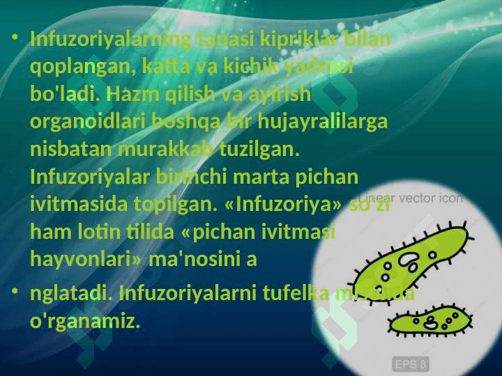 Infuzoriyalar va sporalilar sinflari 4