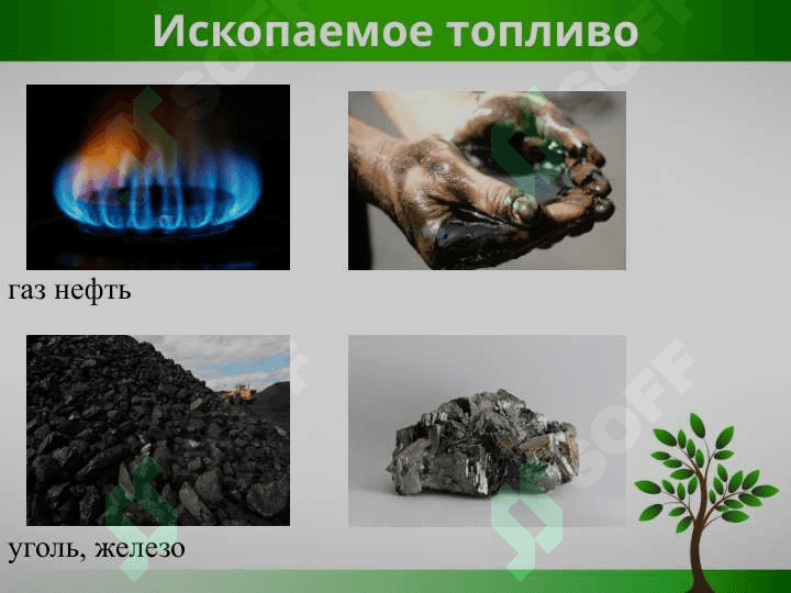 Экологические проблемы Франции 3