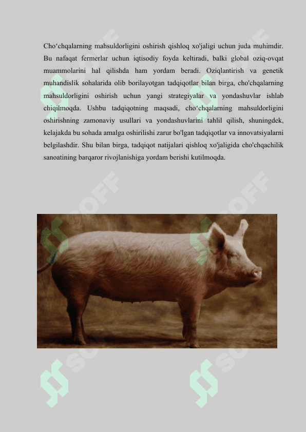 CHOʻCHQALARNING MAHSULDORLIGINI OSHIRISH 3