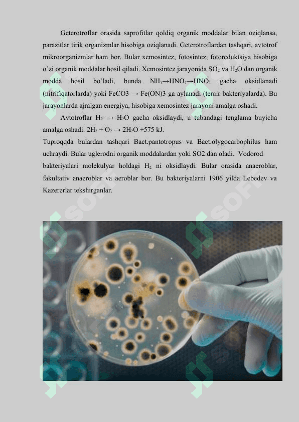 MIKROORGANIZMLARNING FIZIOLOGIYASI 8