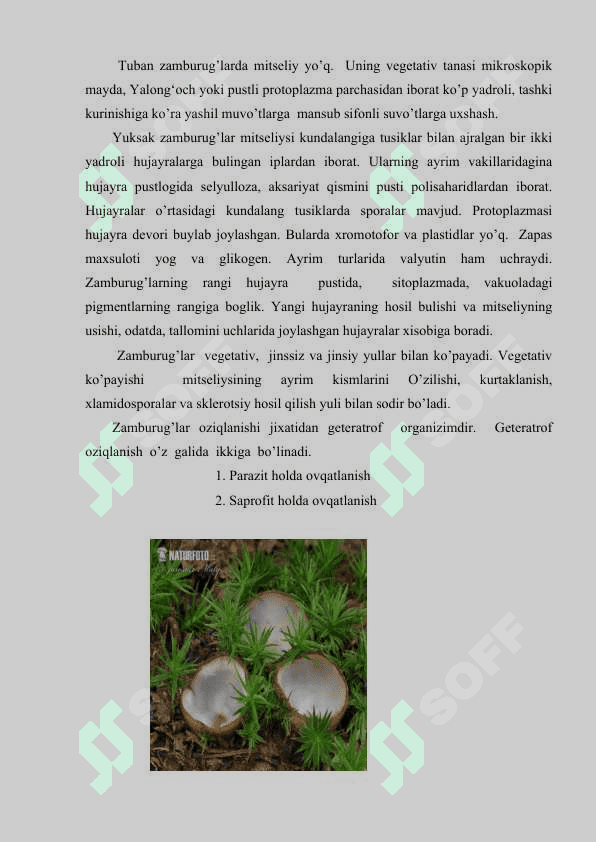 Zamburug’larning ko’payishi 6