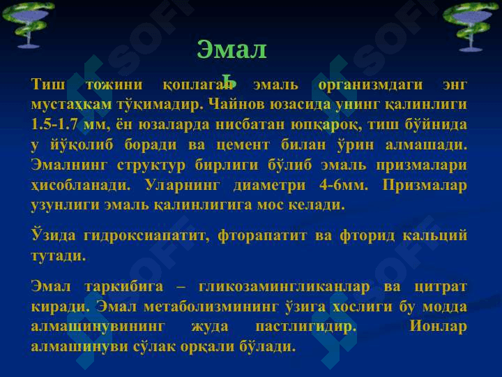 Тиш қаттиқ ва юмшоқ  тўқимаси биокимёси 6