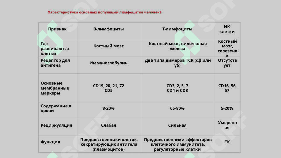 Т-В- лимфоцитлар, NK-киллерлар субпопуляцияси. 3