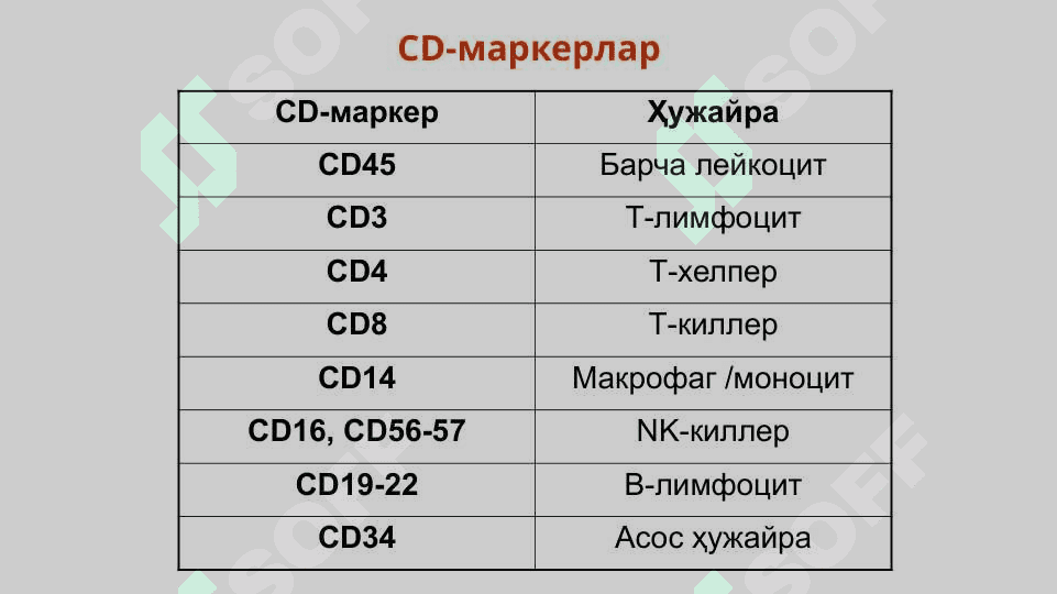 Т-В- лимфоцитлар, NK-киллерлар субпопуляцияси. 4